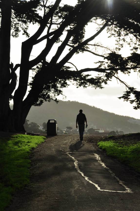 Caminhando na deliciosa Alamo Square, em San Francisco, na Califórnia, nos Estados Unidos